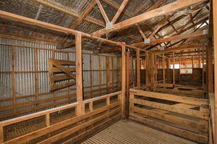 1247 Wharekopae Road Ngatapa_10