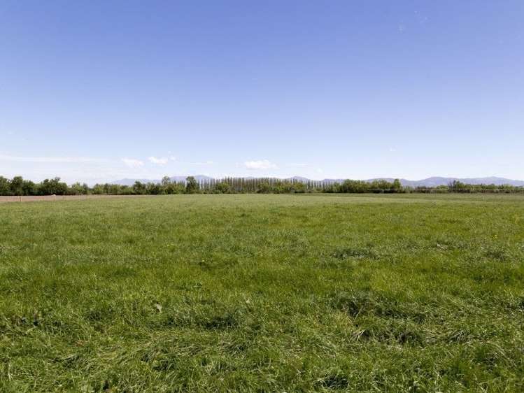 245 Goughs Crossing Road Ashburton Forks_3