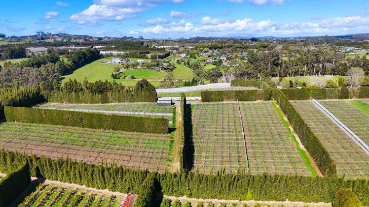 387 Kerikeri Road Kerikeri_8