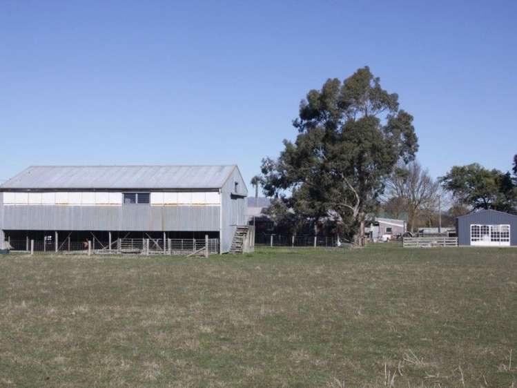 211a Mouse Point Road Culverden_7
