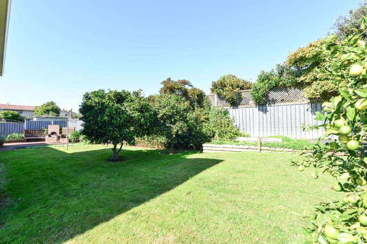 5 Amanda Avenue Dinsdale_20