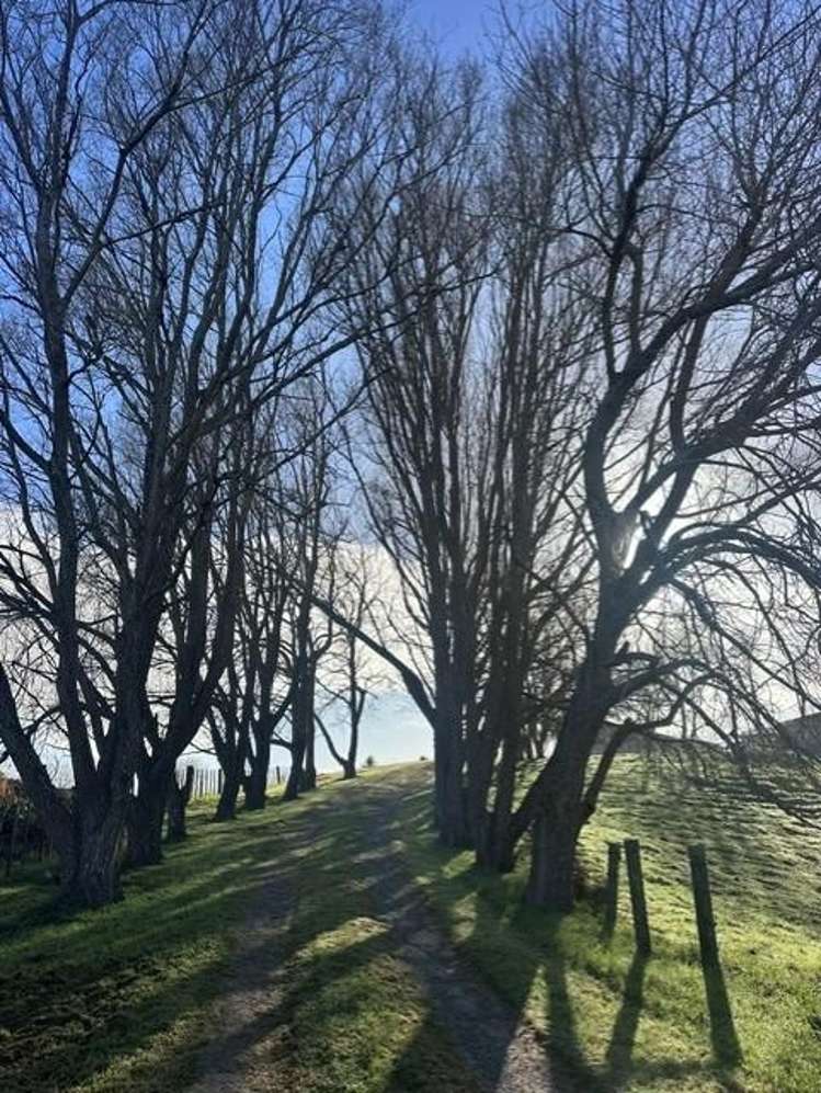 401 Oneriri Road Kaiwaka_21