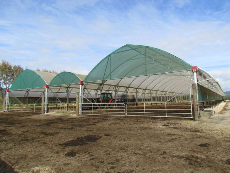 353 Wilson Road Pakotai_7