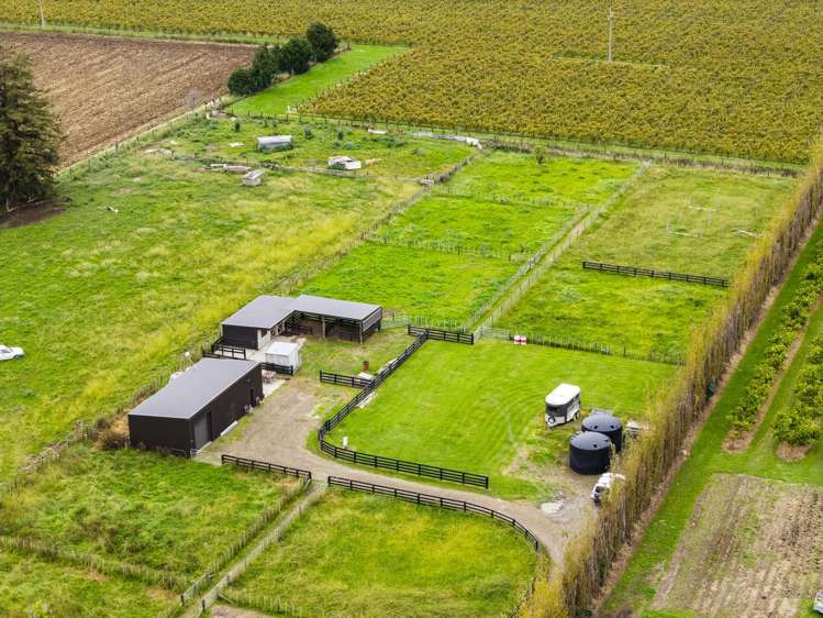 1290 Matawai Road Ormond_1