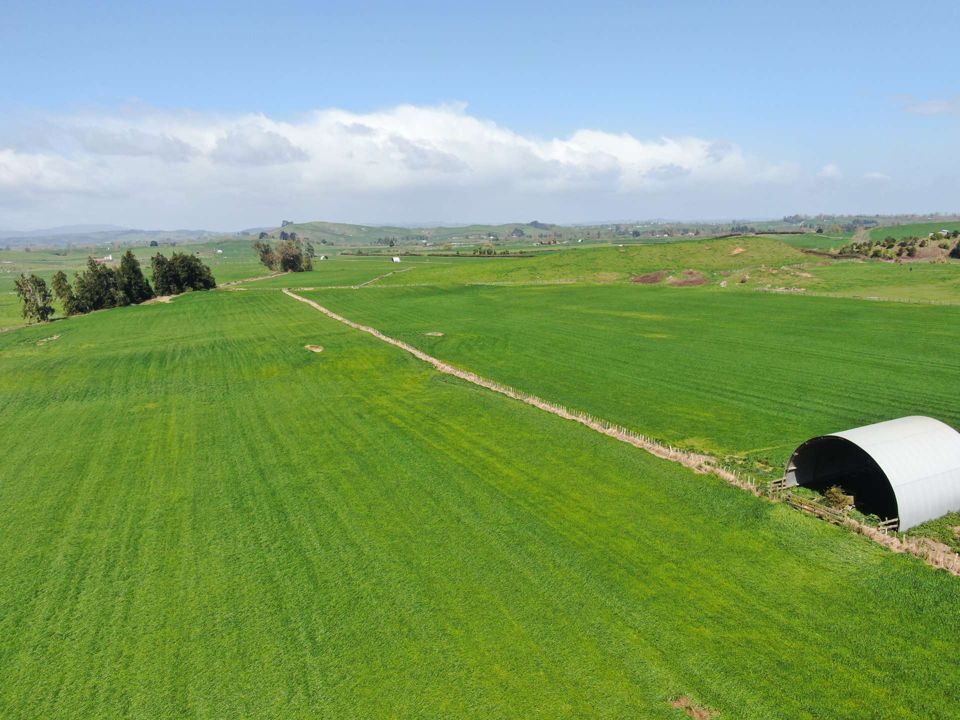 1375 State Highway 3 Otorohanga_0