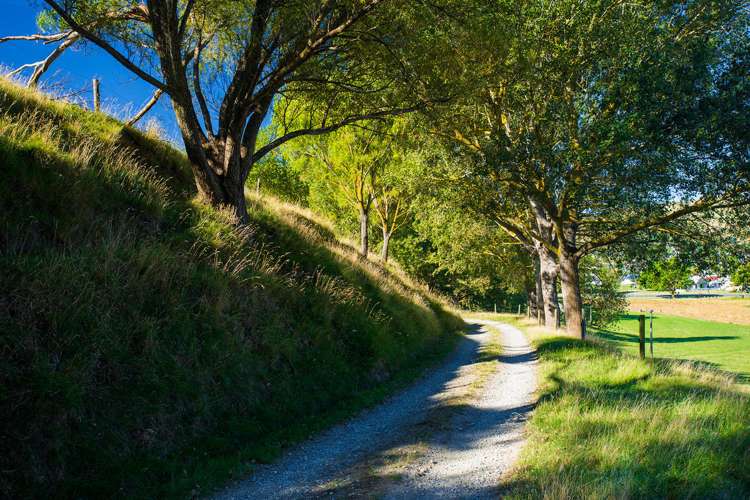 559 Wainui Road Kaiti_6