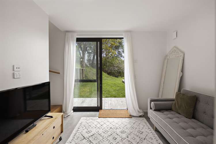 13 Hoggard Street Vogeltown_12