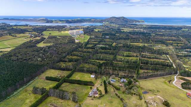 110D Hukatere Road Pukenui_3