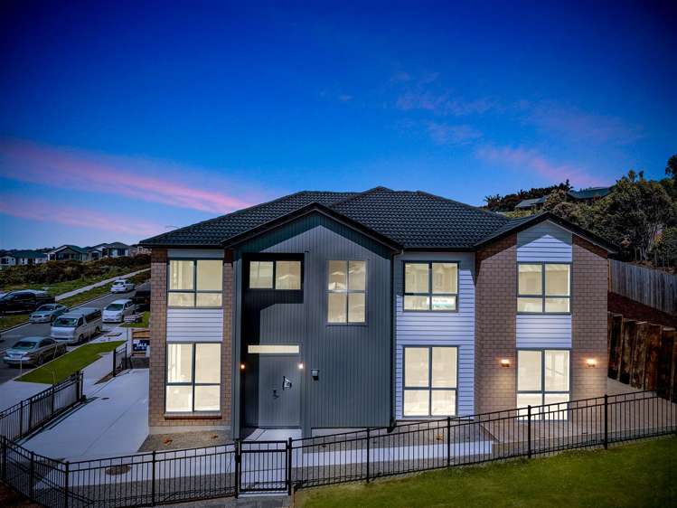 1 Elevation Street Flat Bush_18