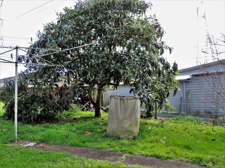 143 Barrack Road Mount Wellington_6