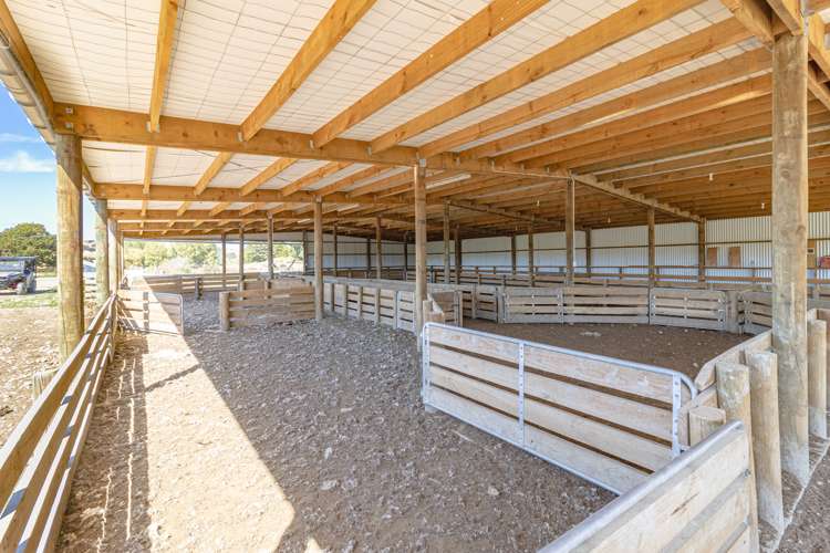 219 Te Kanuka Road Masterton_16