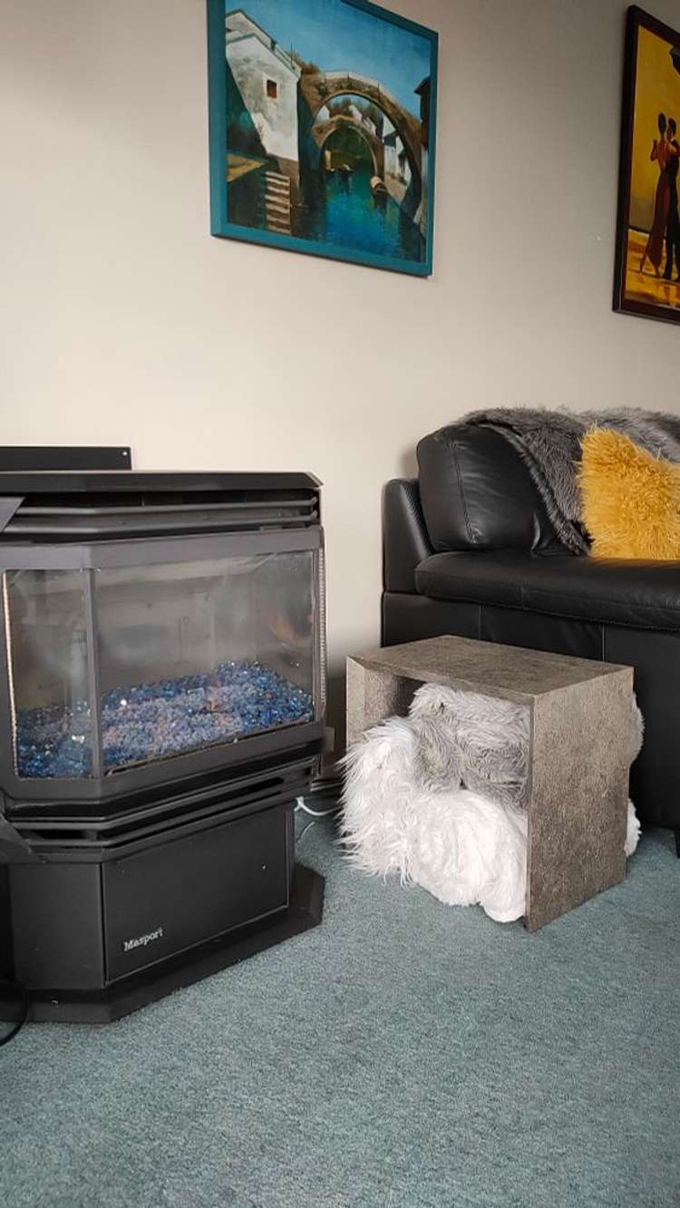 295 Main Road Tawa_22