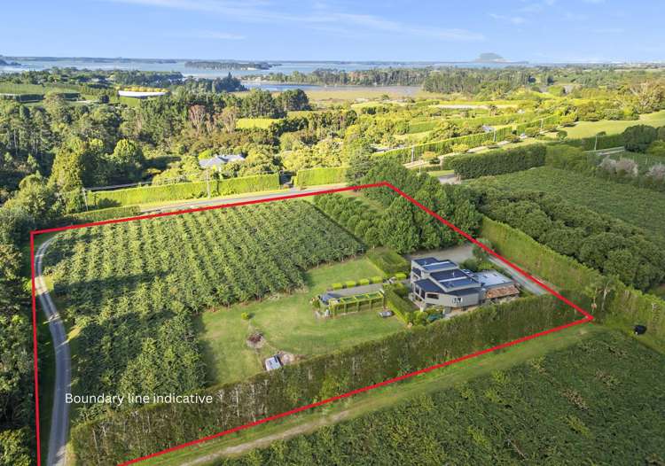 50 Emeny Road Whakamarama_25