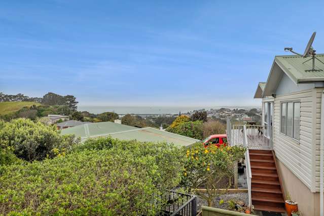 111 Pioneer Road Moturoa_1