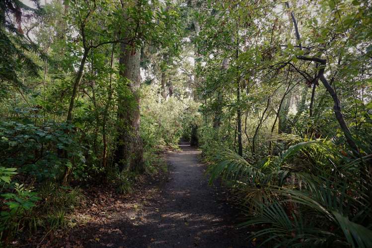 4 Ngahere Terrace Parnell_20