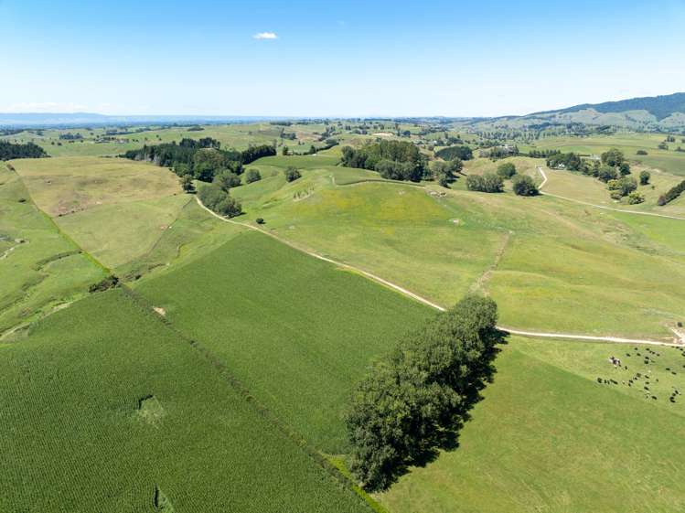 536 Morgan Road Richmond Downs_28