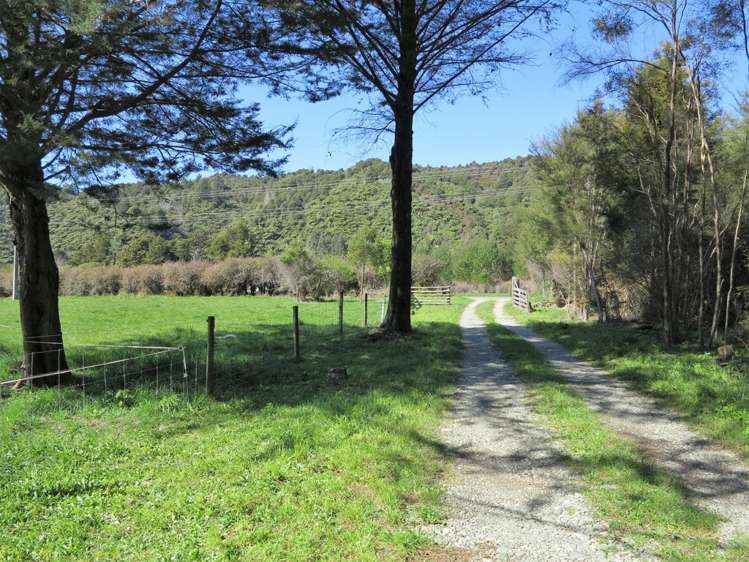 512 Hamama Road Takaka_13