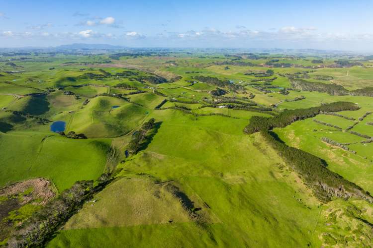 386 Rehutai Road Dargaville Surrounds_15
