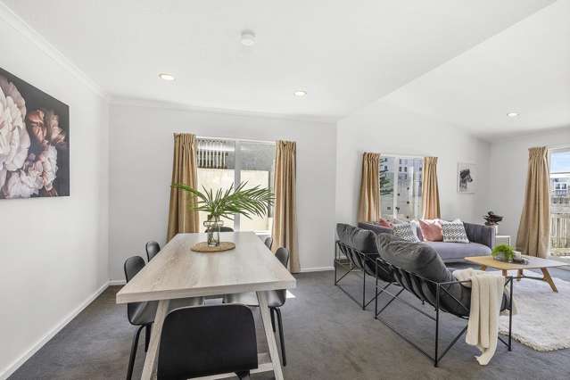 4a Macdonald Crescent Te Aro_1