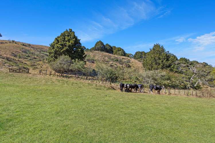 186 Twilight Road Clevedon_27