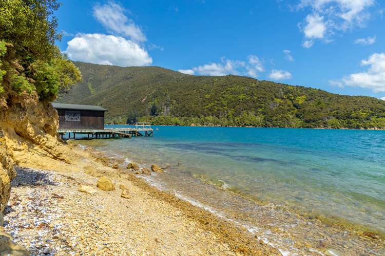 Curious Cove Curious Cove_8