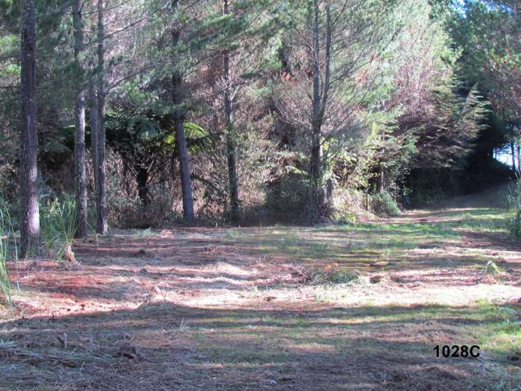 1028 A,B,C McIvor Road Rotoma_25