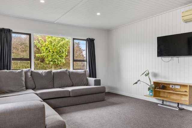 28 Matipo Street Central_2