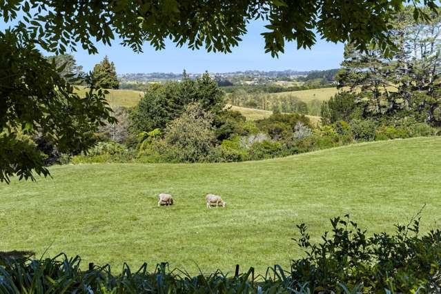 41 Annandale Road Kumeu_4