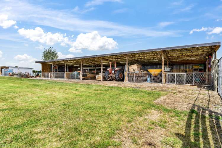 65 Racecourse Road_3