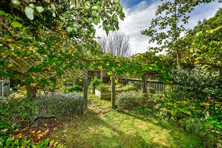 67 King Street Sydenham_29