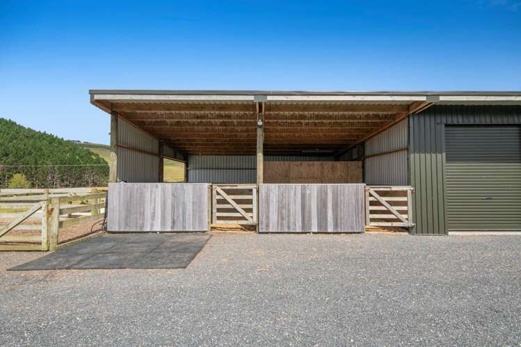 15a Slater Road South Head_27