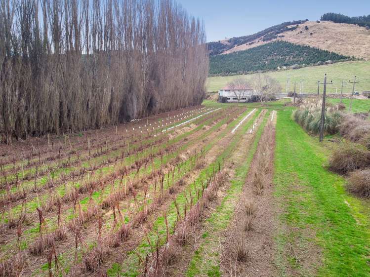 781 Outram-Mosgiel Road Mosgiel_14