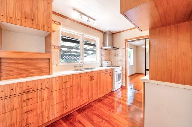 72 Alexander Avenue Onekawa_3