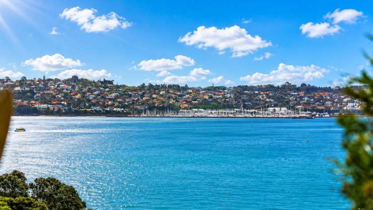 43B Island Bay Road_3