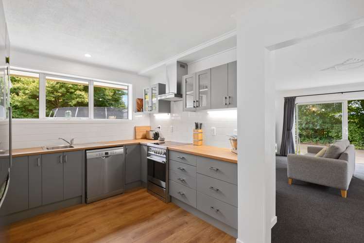 107 Forest Drive Methven_7