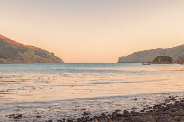 816 Wainui Main Road Wainui_25