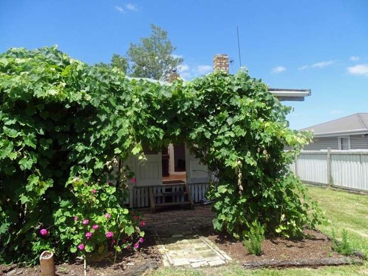 14 Hill Street Paeroa_13