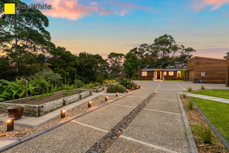 156 Ara-Kotinga Whitford_27