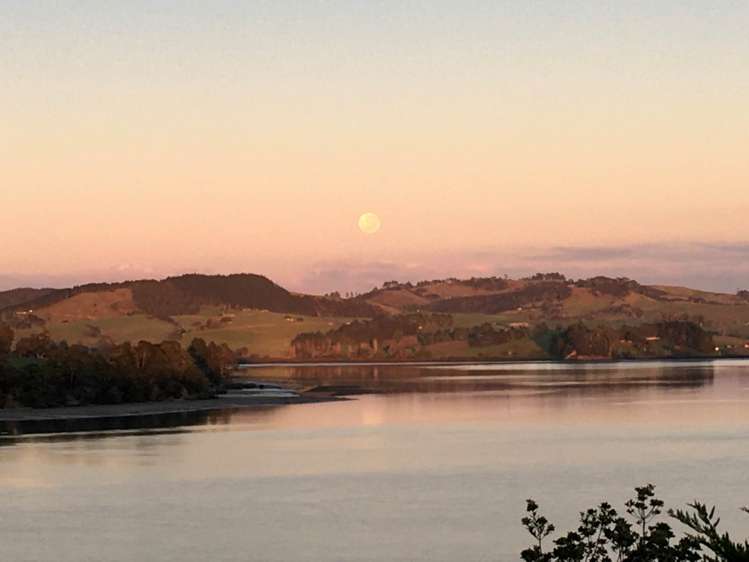 576b Pahi Road Paparoa_34