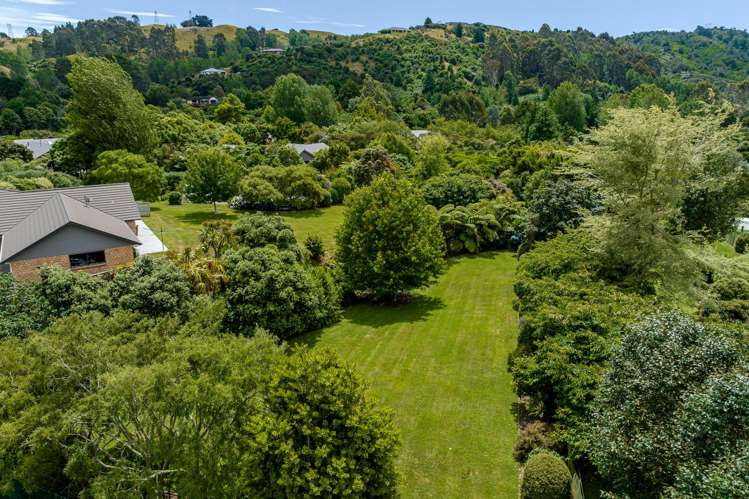 114 Maui Pomare Road Nikau Valley_31