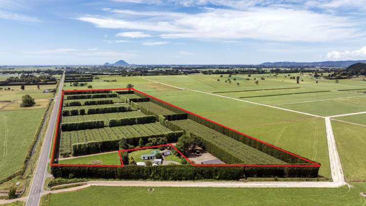 469 Western Drain Road Edgecumbe_13