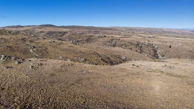 715 Hyde-Macraes Road Hyde_11