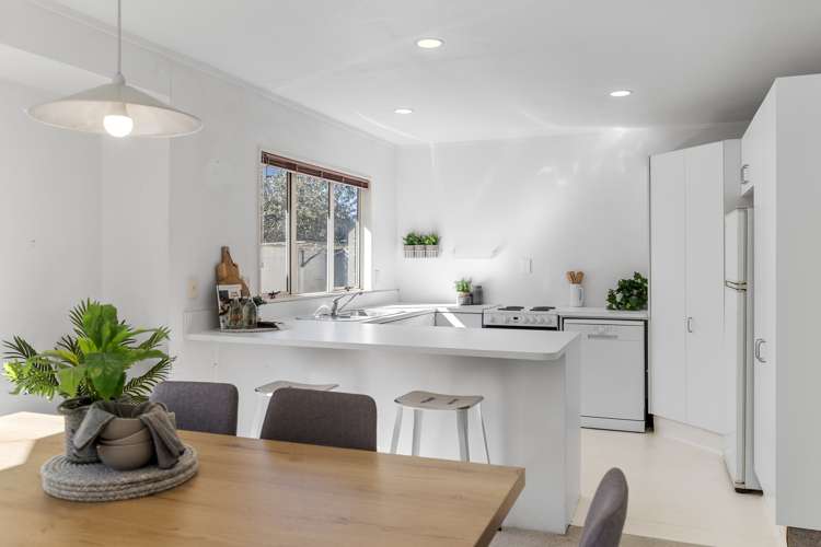 53b Concord Avenue Mount Maunganui_7