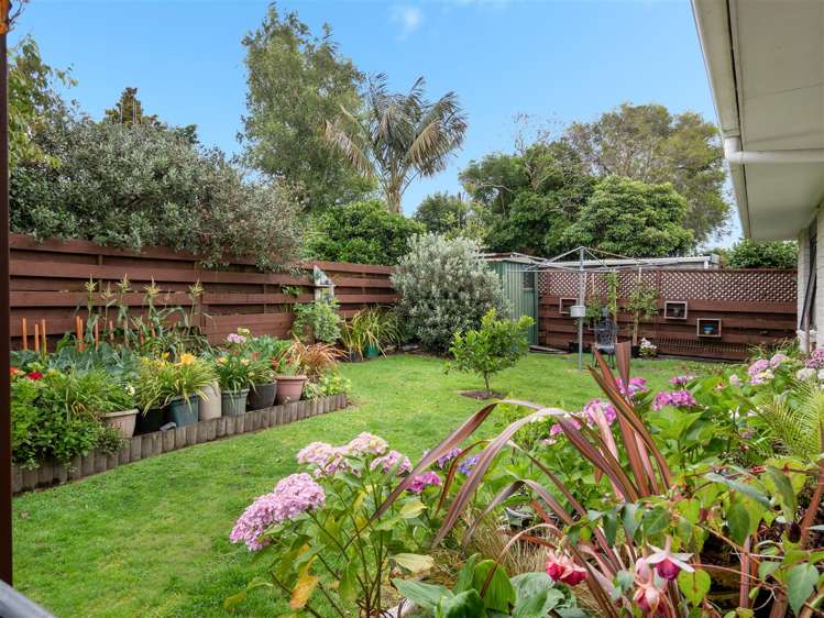 100b Boucher Avenue Te Puke_13