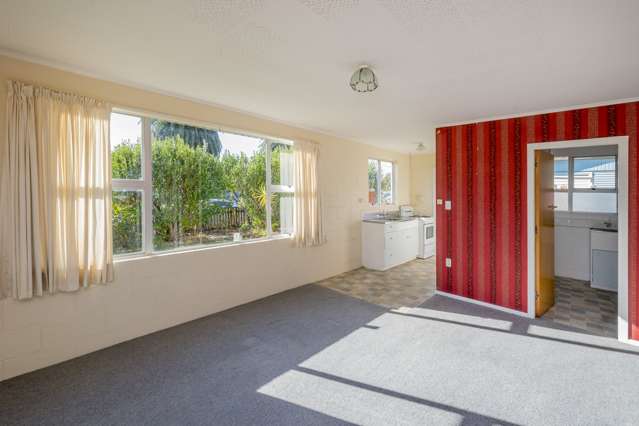 23a Collingwood Street Levin_1