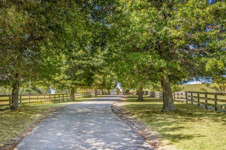 883 Peak Road Waimauku_8