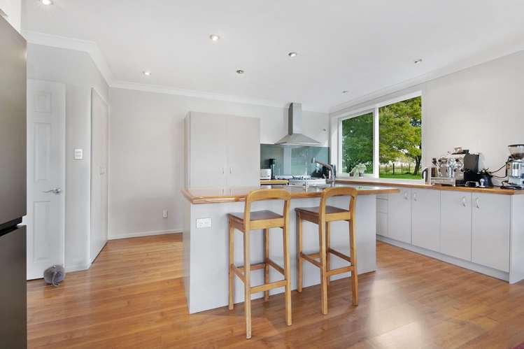 327 Postman Road Dairy Flat_9