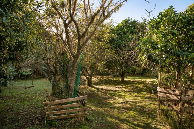 449 Kauaeranga Valley Rd Thames_27