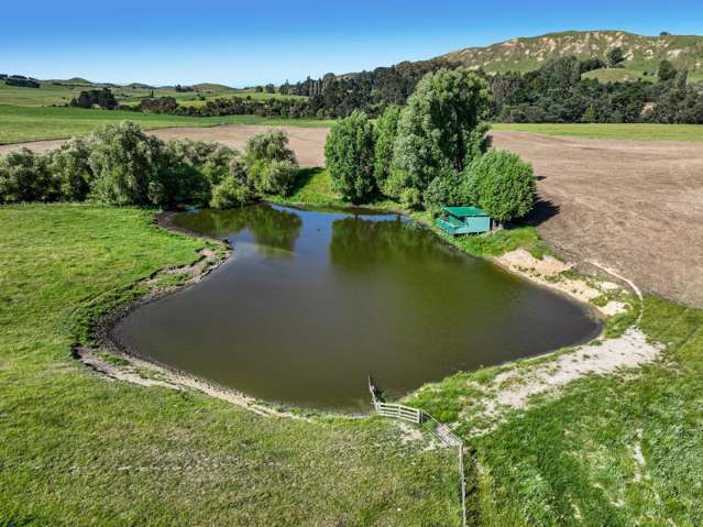 4551 Wairoa Road Tutira_4