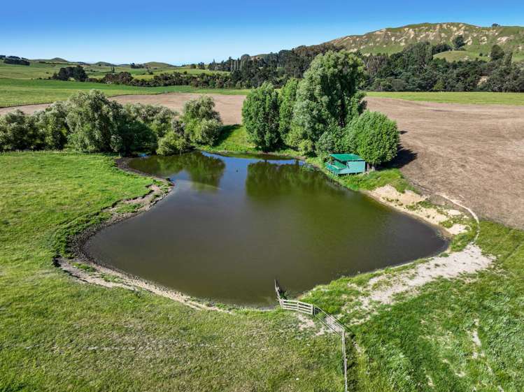 4551 Wairoa Road Tutira_4